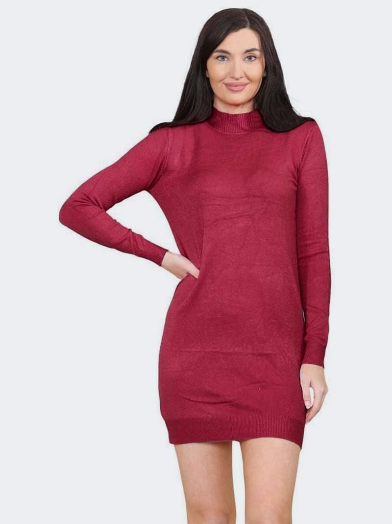 Women Turtleneck Knitted Bodycon Partywear Dress - Remzs Fashion