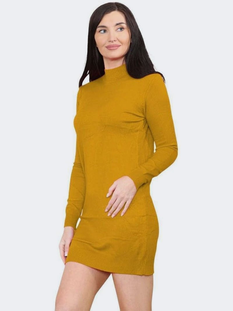 Women Turtleneck Knitted Bodycon Partywear Dress - Remzs Fashion